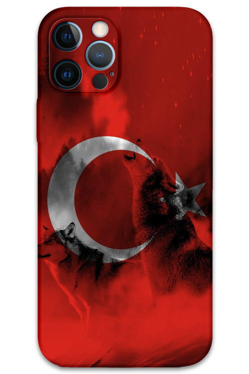 5854-iphone-12-pro-12-pro-max-turk-bayragi-desenli-kilif.jpg