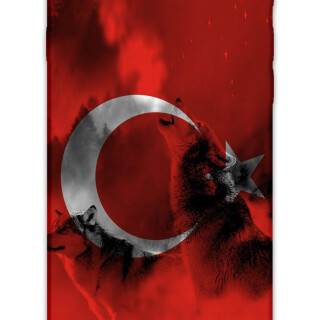 5854-iphone-7-8-se-turk-bayragi-desenli-kilif