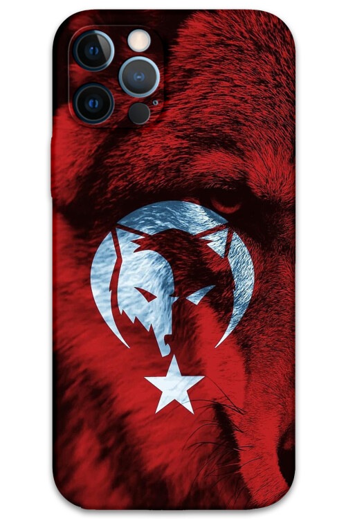 5856-iphone-12-pro-12-pro-max-turk-bayragi-desenli-kilif.jpg