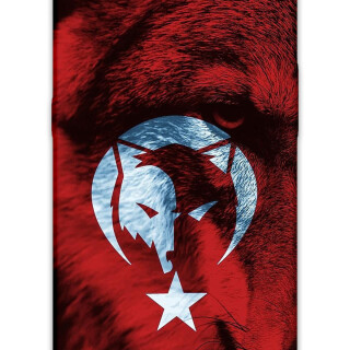 5856-oppo-ax7-a5s-a12-rx-17-neo-turk-bayragi-desenli-kilif