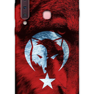 5856-galaxy-a9-2018-turk-bayragi-desenli-kilif