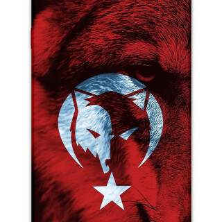 5856-galaxy-j7-prime-turk-bayragi-desenli-kilif