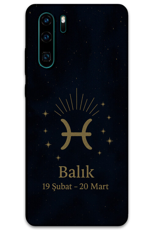 5779-huawei-p30-pro-balik-burcu-desenli-kilif.jpg