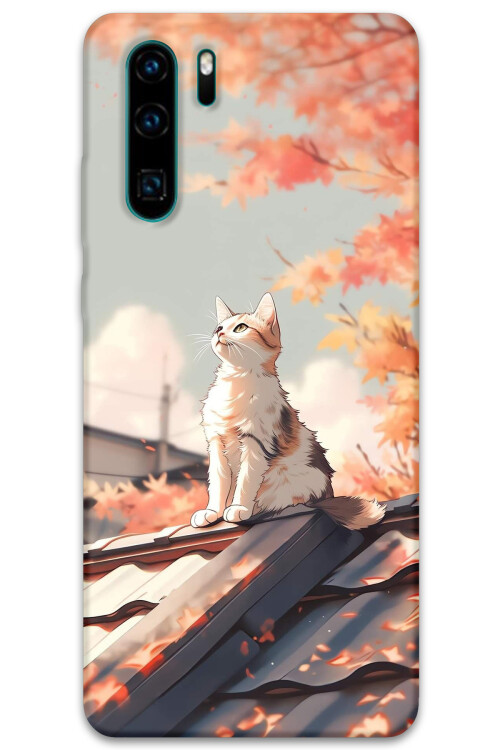 5784-huawei-p30-pro-kedi-desenli-kilif.jpg