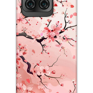 5805-reeder-s71-cicek-desenli-kilif