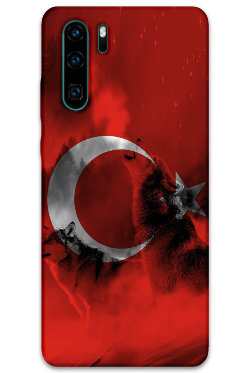 5854-huawei-p30-pro-turk-bayragi-desenli-kilif.jpg