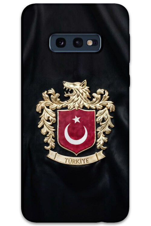 5855-galaxy-s10e-turk-desenli-kilif.jpg