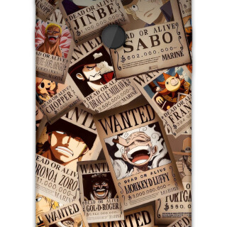 5888-gm-9-pro-one-piece-desenli-kilif